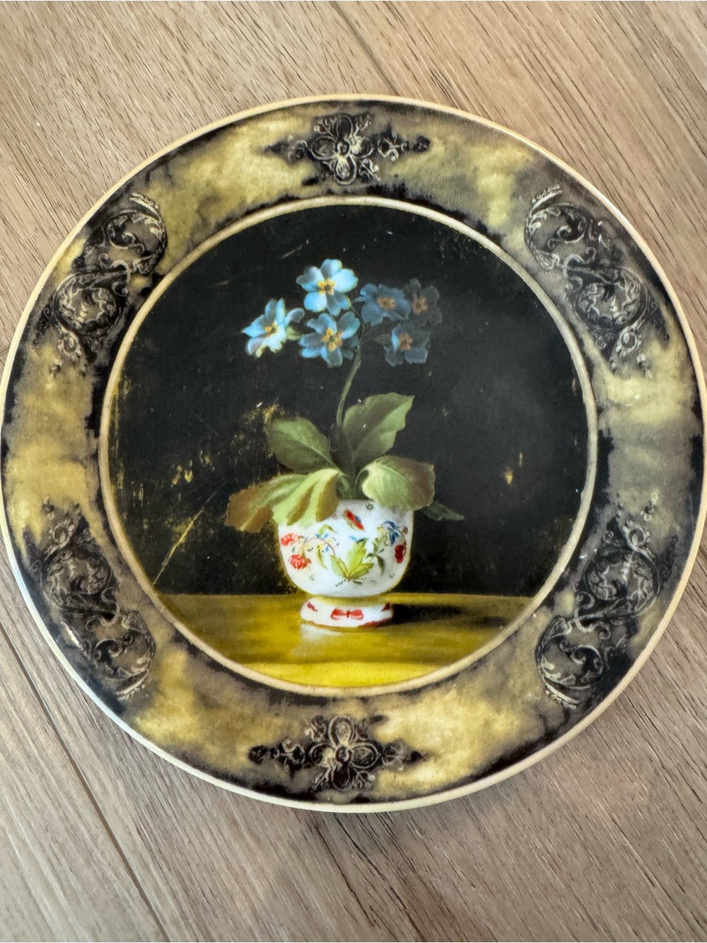 Set of 4 222 Fifth Cachepot Salad Plates - 8.5" Fine China Forget-Me-Not